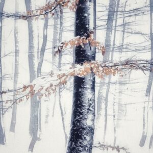 Bosque