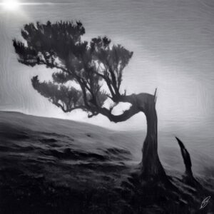 Árbol