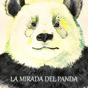 La mirada del Panda