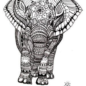 elephant