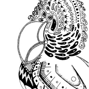 Peacock
